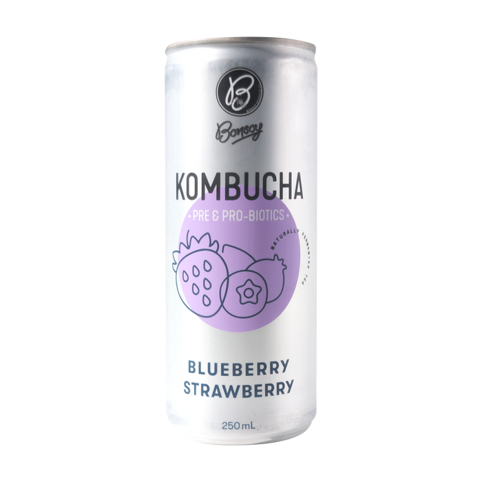 Bonsoy Kombucha - Blueberry Strawberry 250ml