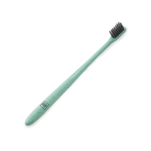 Brush It On Toothbrush - Wheat Straw - Adult - Green